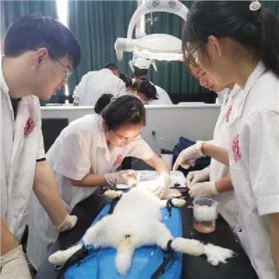 Lab Medical LED Shadowless Lights Lamp
