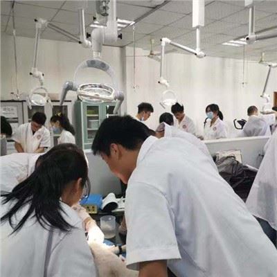 LED Ceiling Mountedshadowless Surgical Lamp
